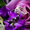 purple wedding - rings