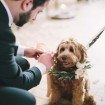 winter wedding - dog at ceremony