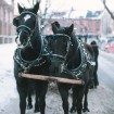 winter wedding - carriage