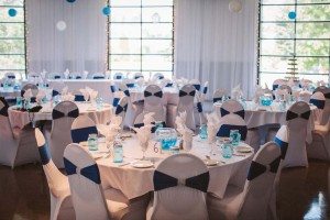 blue wedding - reception decor