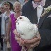 vintage wedding - releasing doves