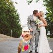 fun wedding ideas - wedding pets
