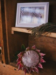 A Dreamy, Whimsical Wedding in Caledon, Ontario - Photo of Zebra