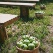 An Elegant Farm Wedding in Creemore - Apples