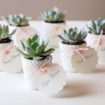 Wedding Favours Your Guests Will Actually Like - Plants