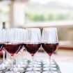 blush winery wedding in british columbia - red wine