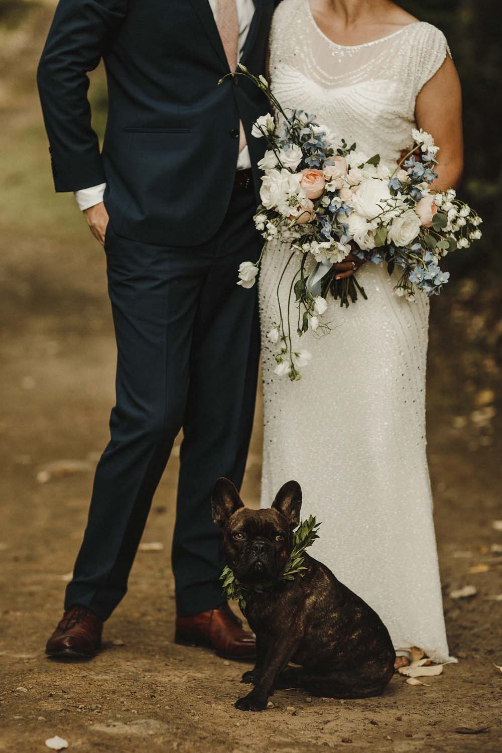 A Scandinavian-Inspired Wedding in British Columbia - Dog